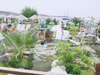 Asarlik Beach Hotel 